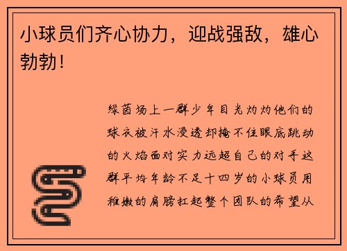 小球员们齐心协力，迎战强敌，雄心勃勃！
